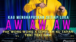 DJ KAU MENGHAPUSKAN SETIAP LUKA / AW AW AW x PAK WONG WONG SEMALAM KU TAHAN (RyanInside Remix)