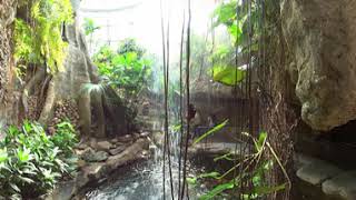360° Butterfly Exhibit in Virtual Reality (VR)