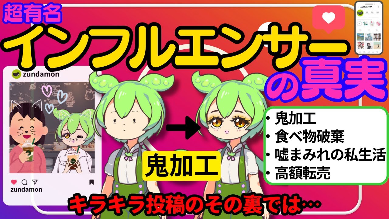 【インスタの闇】嘘まみれインフルエンサーの末路【ずんだもん ゆっくり解説】
