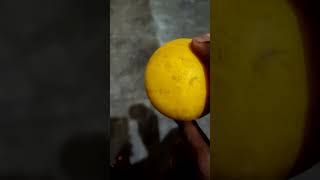 wind ball