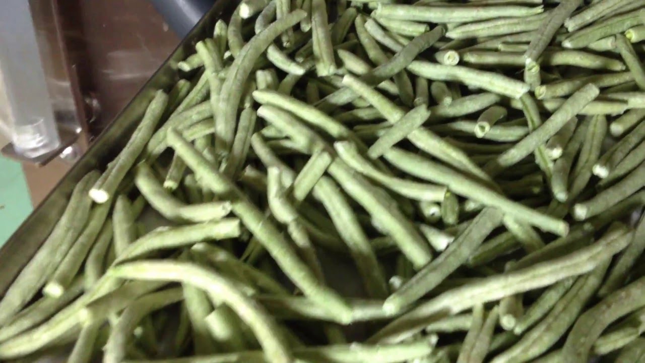 OKRA, LIMA & GREEN BEANS FREEZE DRIED IN MY Harvest Right Freeze Dryer