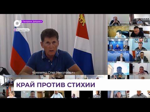 Губернатор Приморья обсудил