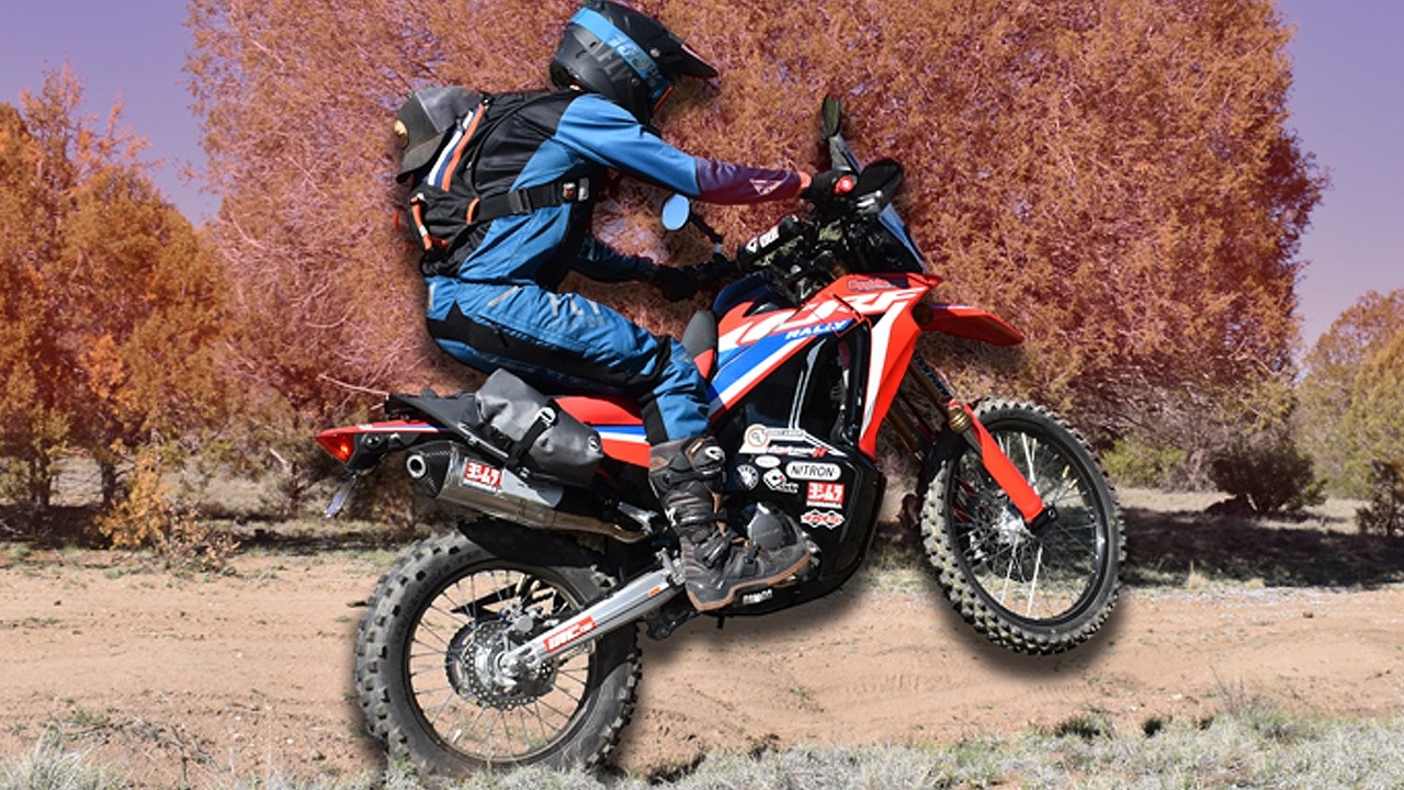 Это лучший ралли на Honda CRF300L?! - Новости мотоциклетного спорта
