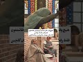 رقص و قر دادن مرجان گلچین در سریال ایرانی بامداد خمار تا آخرش ببینید 