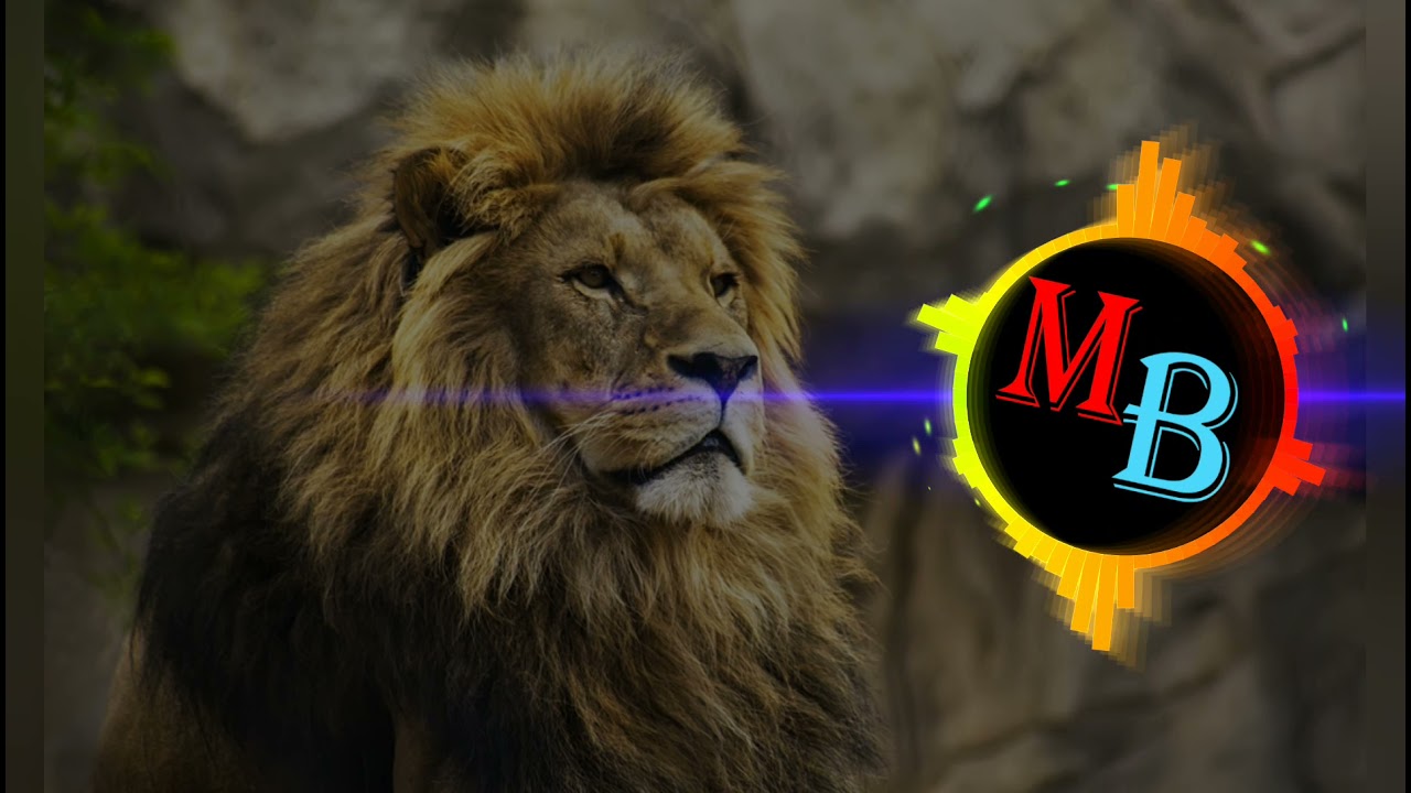 So high ringtoneMusic Brothersringtone YouTube