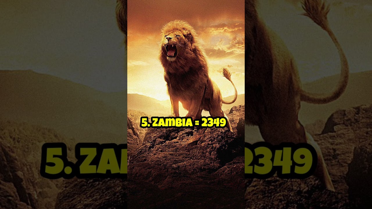 Top 10 Countries With Highest Lions Population 🦁