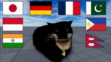 Maxwell the cat in different languages meme