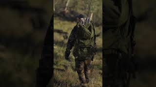 Cold day for a sambar stalk.