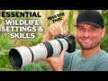 GO-TO SETTINGS For Bird & Wildlife PHOTOGRAPHY | Have YOU Mastered The MOST IMPORTANT SKILL?