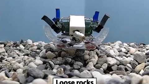 VelociRoACH self-righting with an active tail