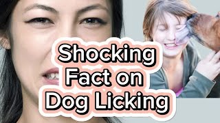 The Shocking Truth Behind Why Dogs Lick You | Unveiling the Gross Secret #dog #viral