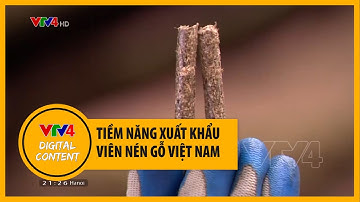 Tiềm năng xuất khẩu viên nén gỗ Việt Nam | VTV4