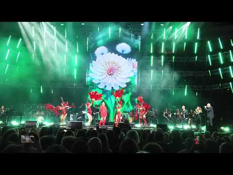 Ajda Pekkan - Yeniden Başlasın