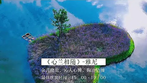 『視聽治癒系』陶冶情操緩解疲勞，餘音繞梁沁人心脾《心蘭相隨》 - 天天要聞