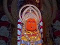 Gunje reGunje Jay Jay kar #cg #song #bhakti #trending #viralshort #video #song #cg