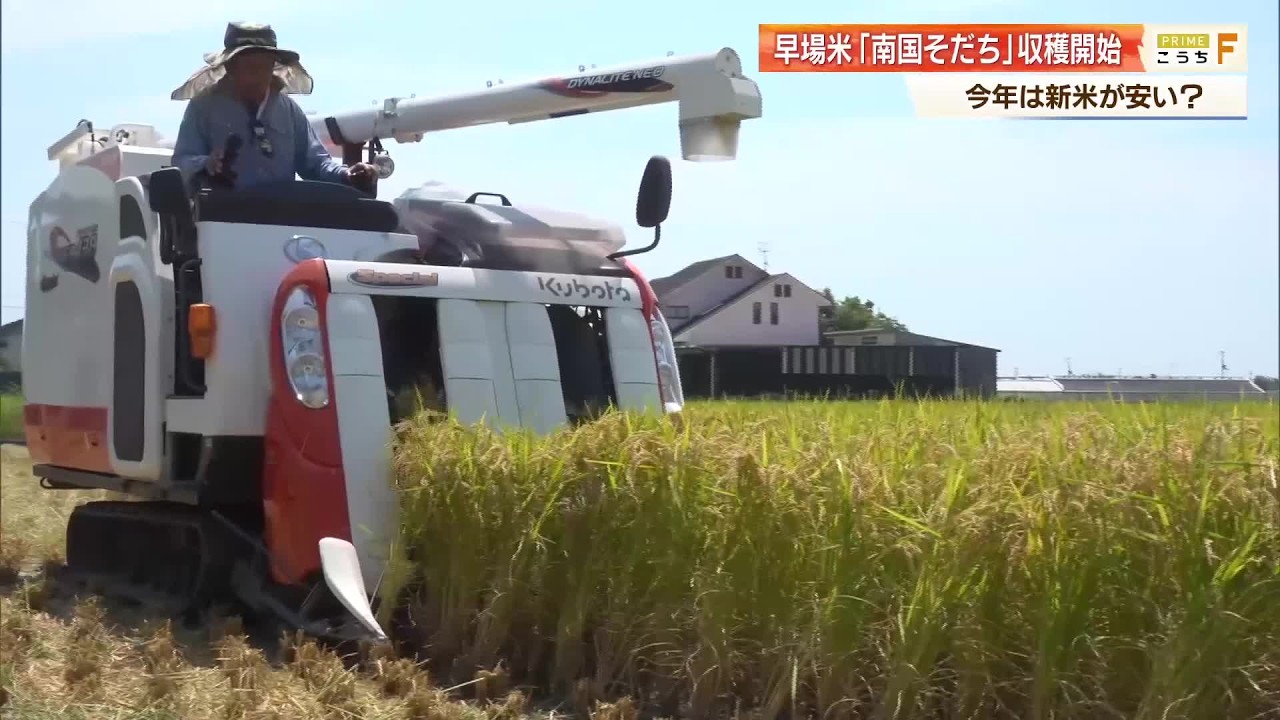 早場米「南国そだち」の収穫開始 今年は安く買える見通しも農家は