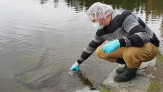 Sampling water for eDNA