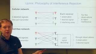 Beyond the Cellular Paradigm: Cellfree Architectures with Radio Stripes