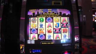 Miss Kitty casino slot LIVE PLAY MAX BET BONUS FREE SPINS BIG WIN machine game screenshot 4