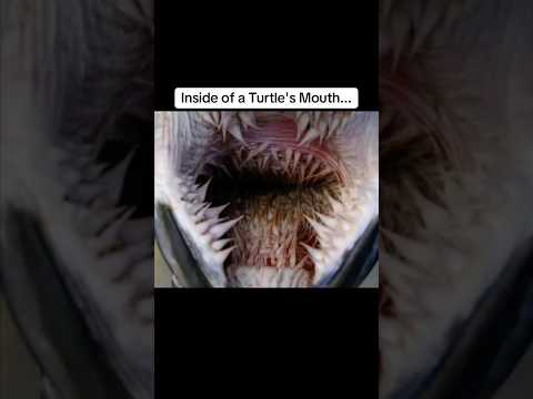 Photos You Must