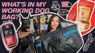 WHAT'S IN MY BAG? DOG MOM EDITION