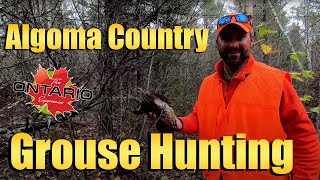 Algoma Country Grouse Hunting (Whitefish Lodge)!