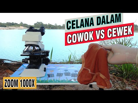 ZOOM 1000X : KEHIDUPAN DALAM CELANA DALAM/KOLOR HABIS PAKAI !!!