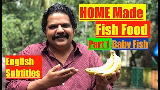 How to Make Homemade Fish Food | How to make Baby Aquarium Fish Fry Food | Easy fry (baby fish) Food