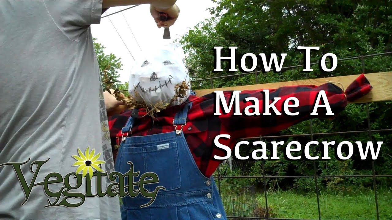 How To Make A Cool Scarecrow Make A Scarecrow Scarecrow Scarecrow Decorations