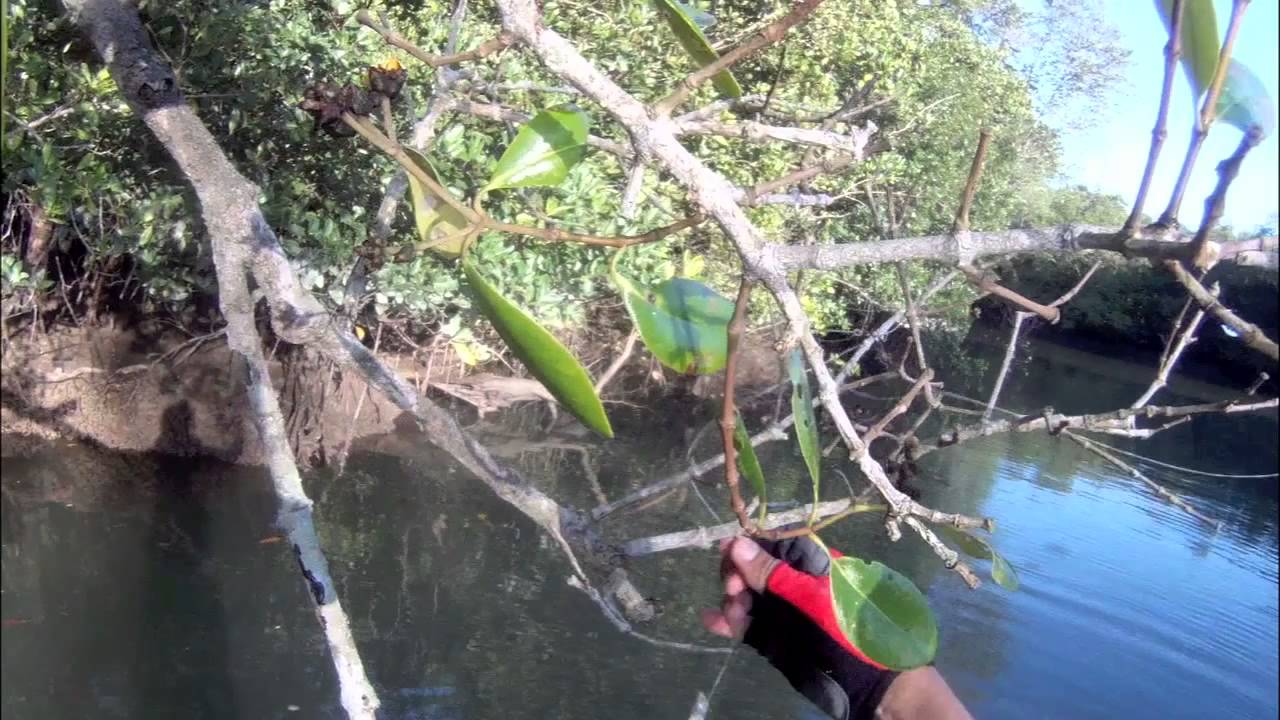 YAK ATTACK Epi 25 - Skipping Around