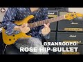 【本人が弾いてみた】ROSE HIP-BULLET(TVアニメ『咎狗の血』OPテーマ)/GRANRODEO