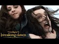 'Bella & Edward Take Aro's Head' Scene | The Twilight Saga: Breaking Dawn - Part 2 | Kristen Stewart