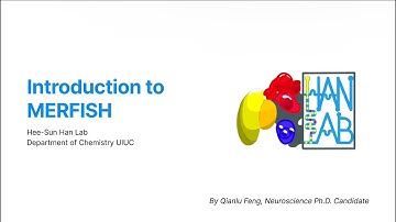 Foundations of Spatial Transcriptomics - Part 2 Introduction to MERFISH