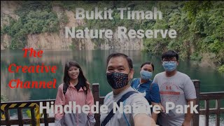 Exploring Bukit Timah Nature Reserve,Singapore🇸🇬/Hike at Bukit Timah Summit to Hindhede Nature Park.