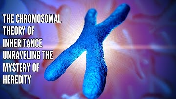 The Chromosomal Theory of Inheritance Unraveling the Mystery of Heredity
