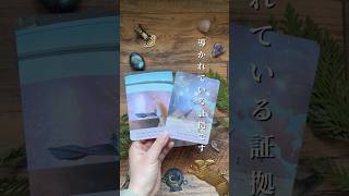 【見てくれた今のあなたにメッセージ🦋】すべてに理解されなくても声出していこう|直感オラクルリーディング