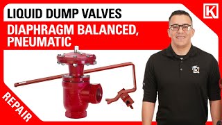 Repair the Kimray Diaphragm Balanced (DB) Pneumatically Operated Dump Valve 🔧