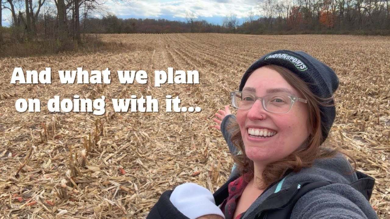 Наконец-то увидел ВСЮ нашу новую землю!