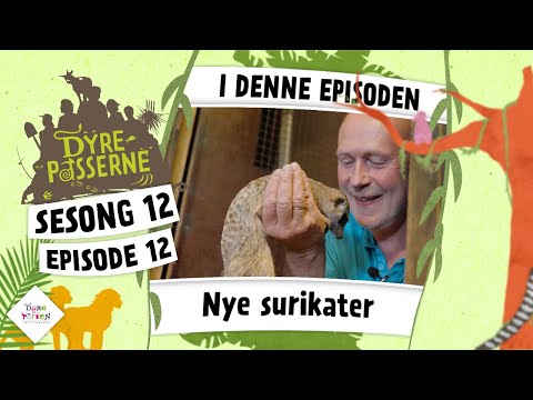 Video: Nakne bønder på sidene i kalenderen utgitt til støtte for Mind Foundation for psykisk syke