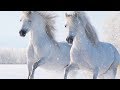 Peaceful Soothing Relaxing Instrumental Music, Meditation Nature "Winter Dreams" By Tim Janis