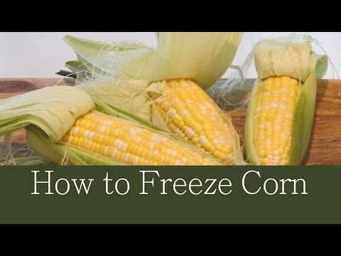 How do you freeze corn in the husk?