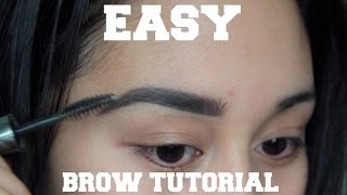 Eyebrow Tutorial for Beginners