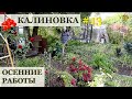 ОСЕННИЕ РАБОТЫ в Калиновке / Посадка чеснока, лука, тюльпанов, мускари, гиацинтов, фритилярии