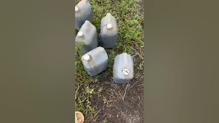 Make your own organic fertilizer save millions with our technology VERUM X SOS ©. SUSTAINABILITY 🆘