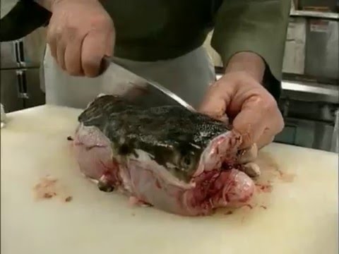 Как едят рыбу фугу