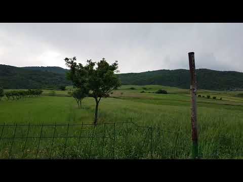 Noste - ნოსტე | Kaspi, Georgia by S8