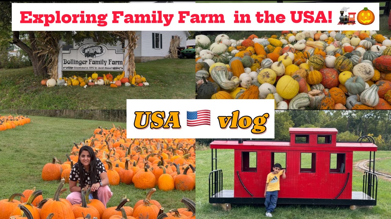 Farm Themed Rides USA's Best Farm Fun: Pumpkin Picking, Train Rides & More at Dollinger ...