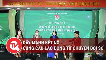 Đẩy mạnh kết nối cung cầu lao động từ chuyển đổi số | Truyền hình Quốc Hội Việt Nam