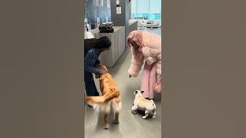 Monaleo and Jess Hilarious spotted at an animal shelter in Atlanta❤️