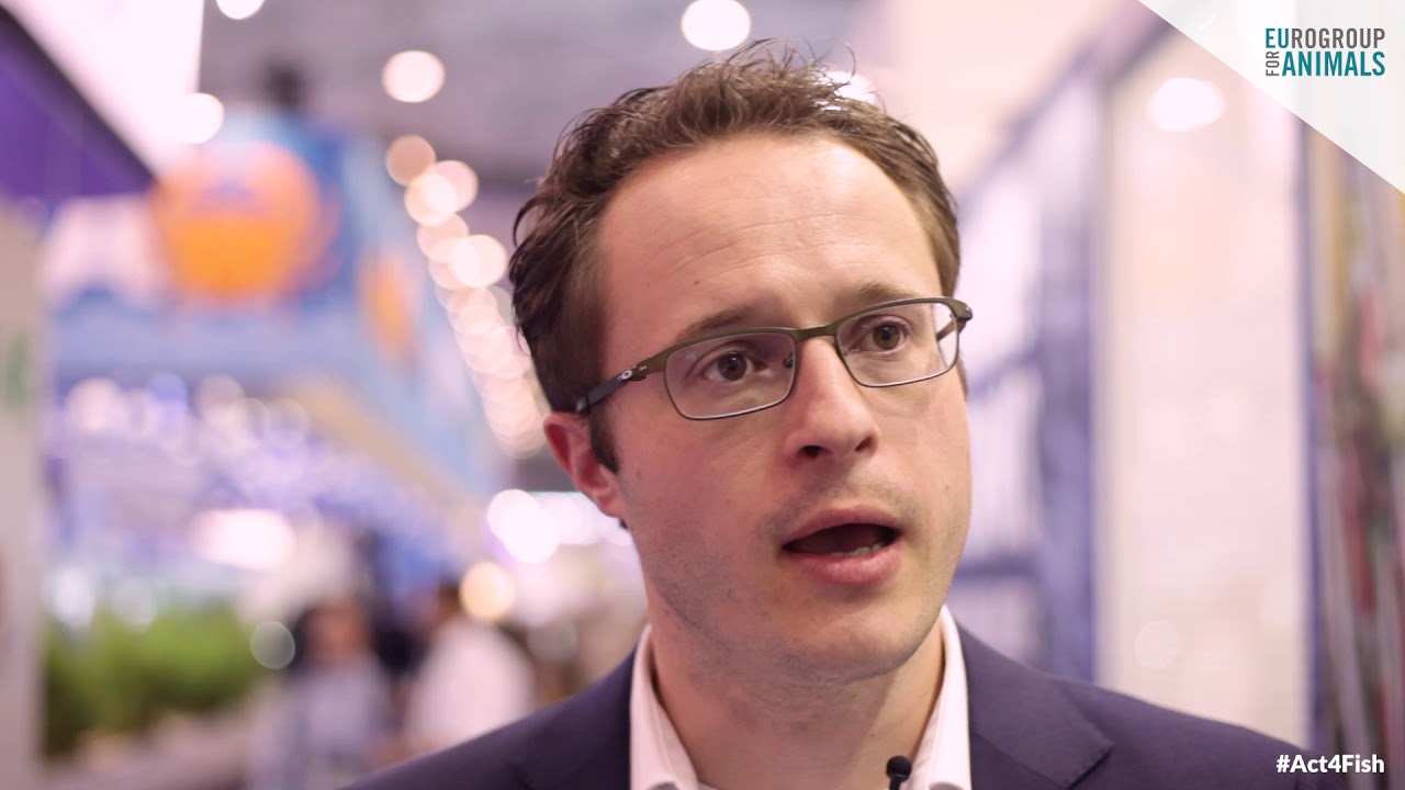 Seafood Expo Global and fish welfare: Aquaculture Stewardship Council